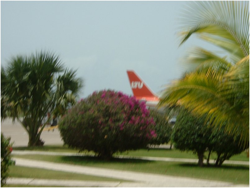 Flight (19)